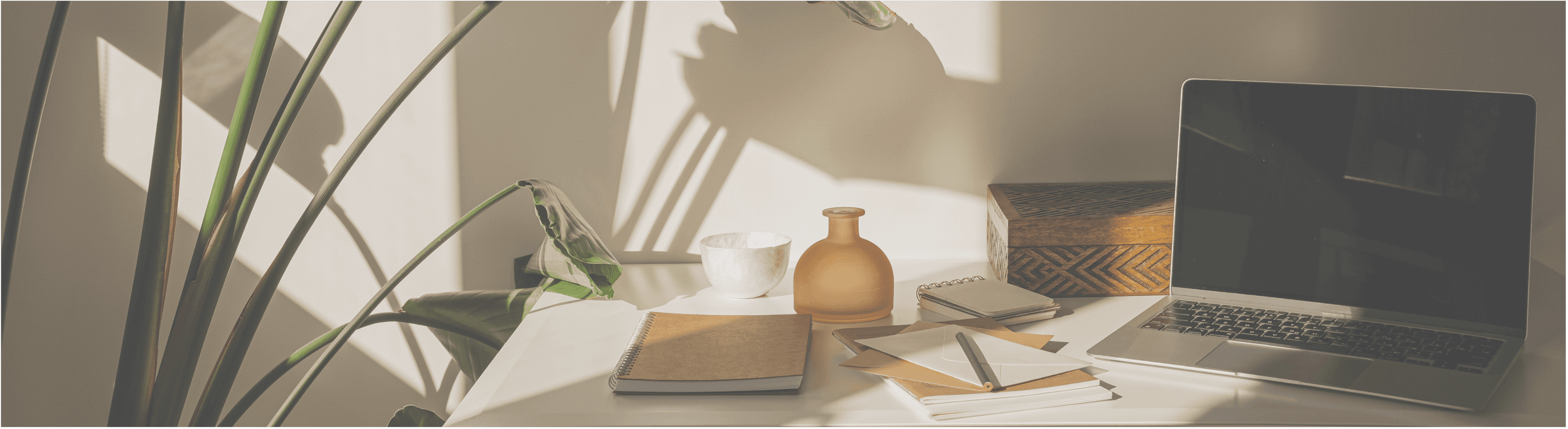 decorative header image